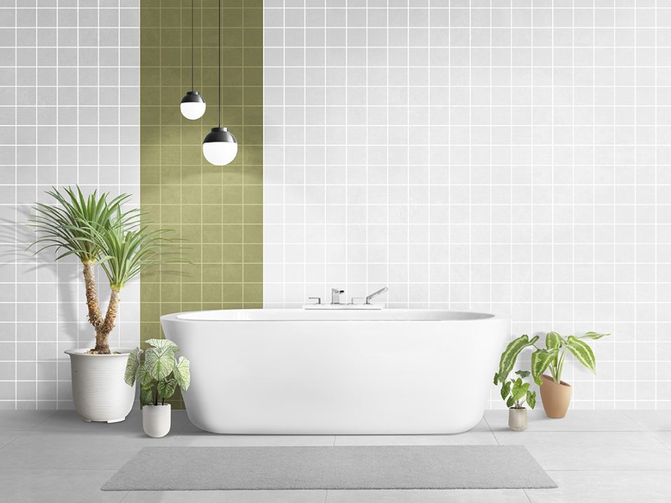 Tanaman Kamar Mandi
