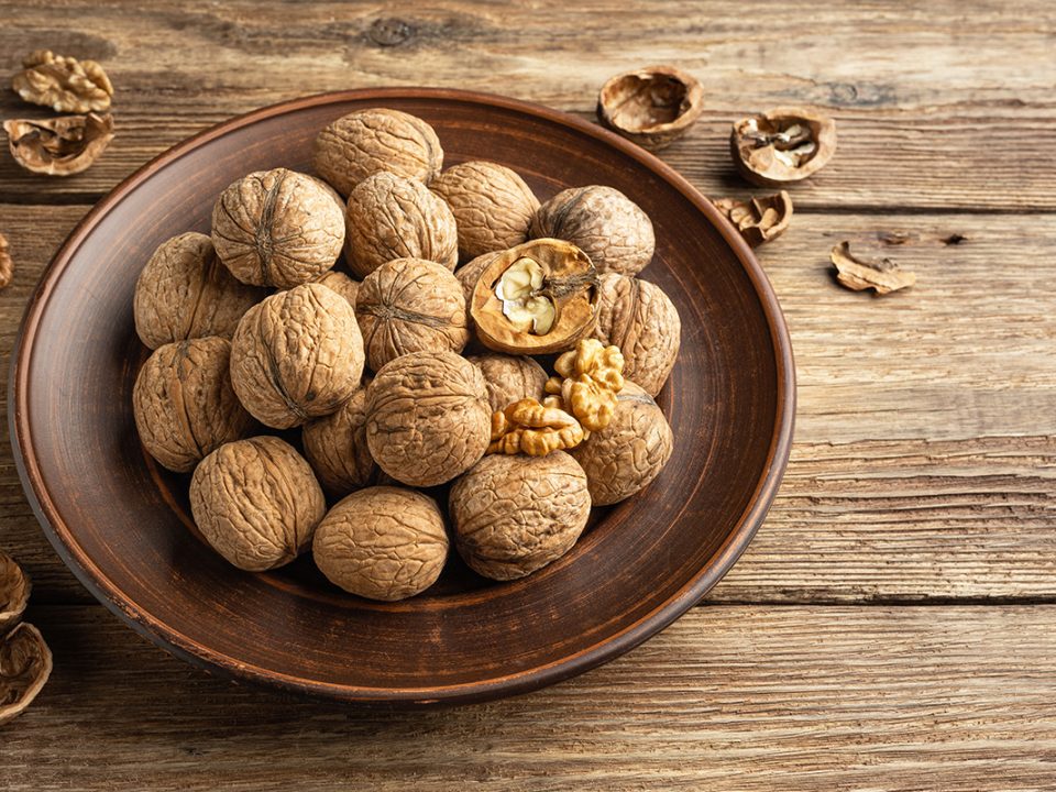 Kacang untuk Diet