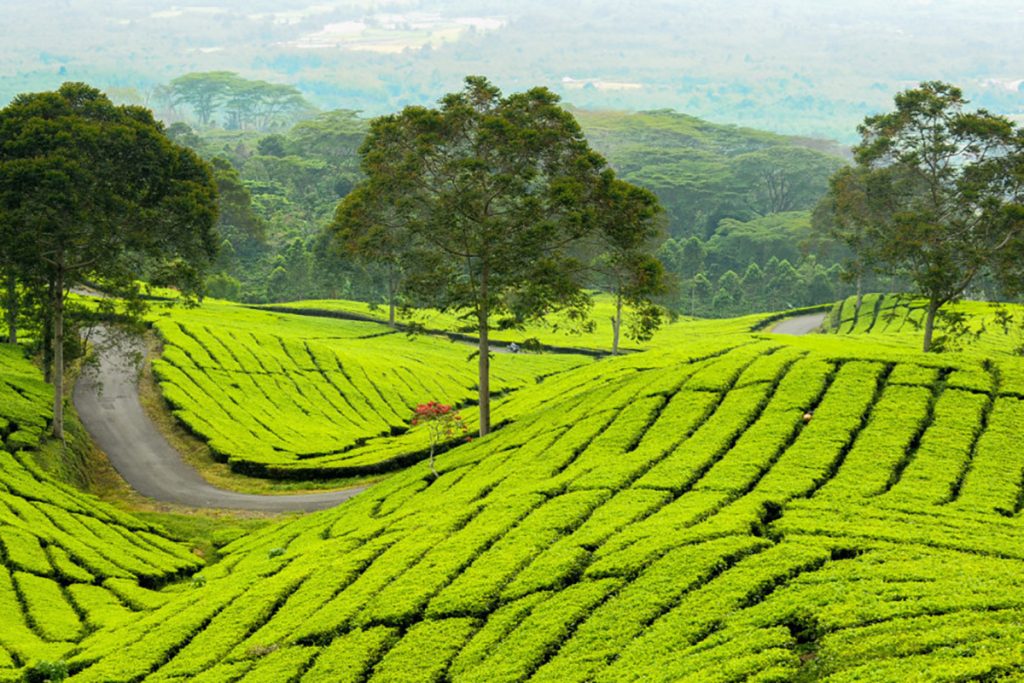 Wisata di Palembang