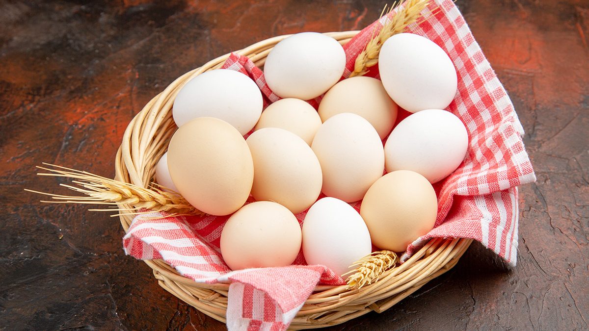 Telur untuk Kesehatan