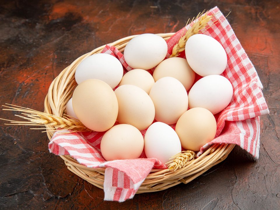 Telur untuk Kesehatan