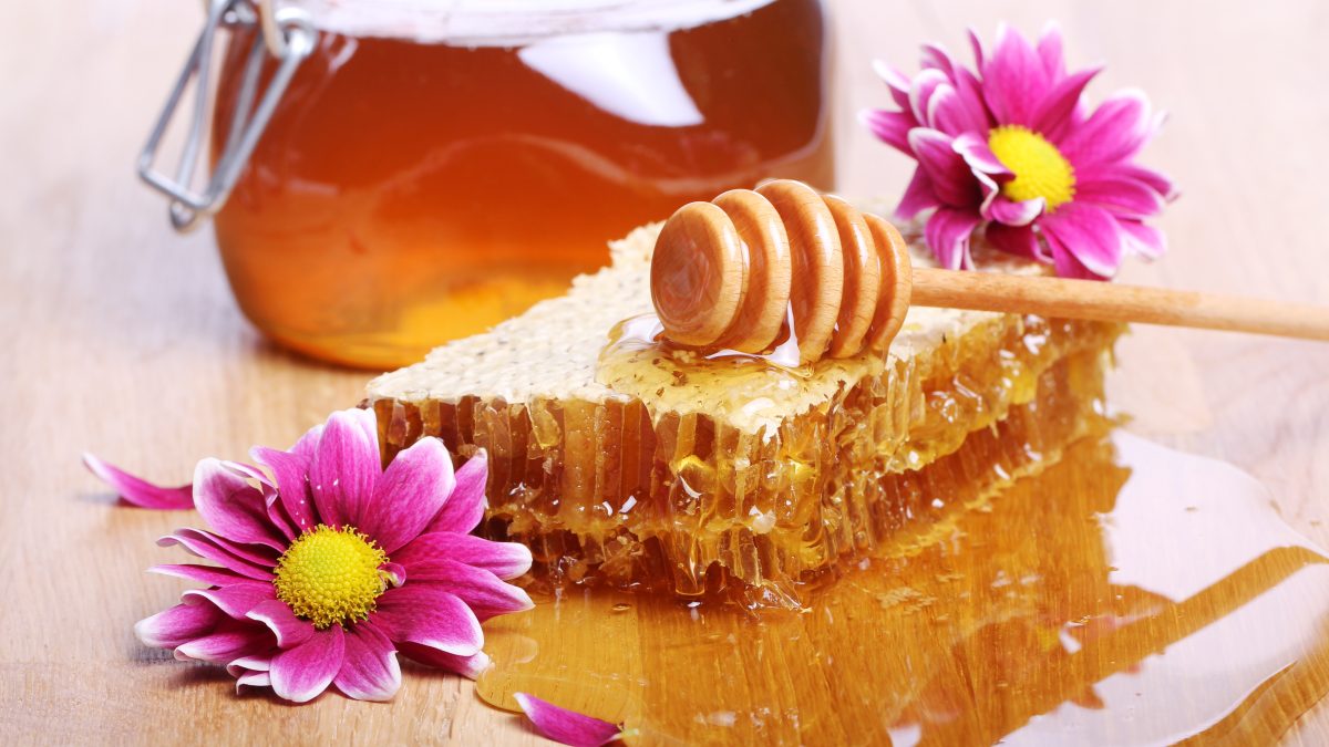 Manfaat Propolis