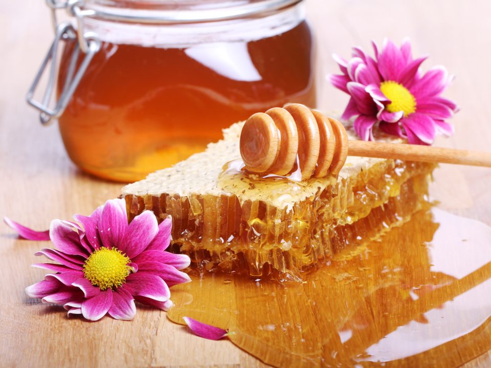 Manfaat Propolis