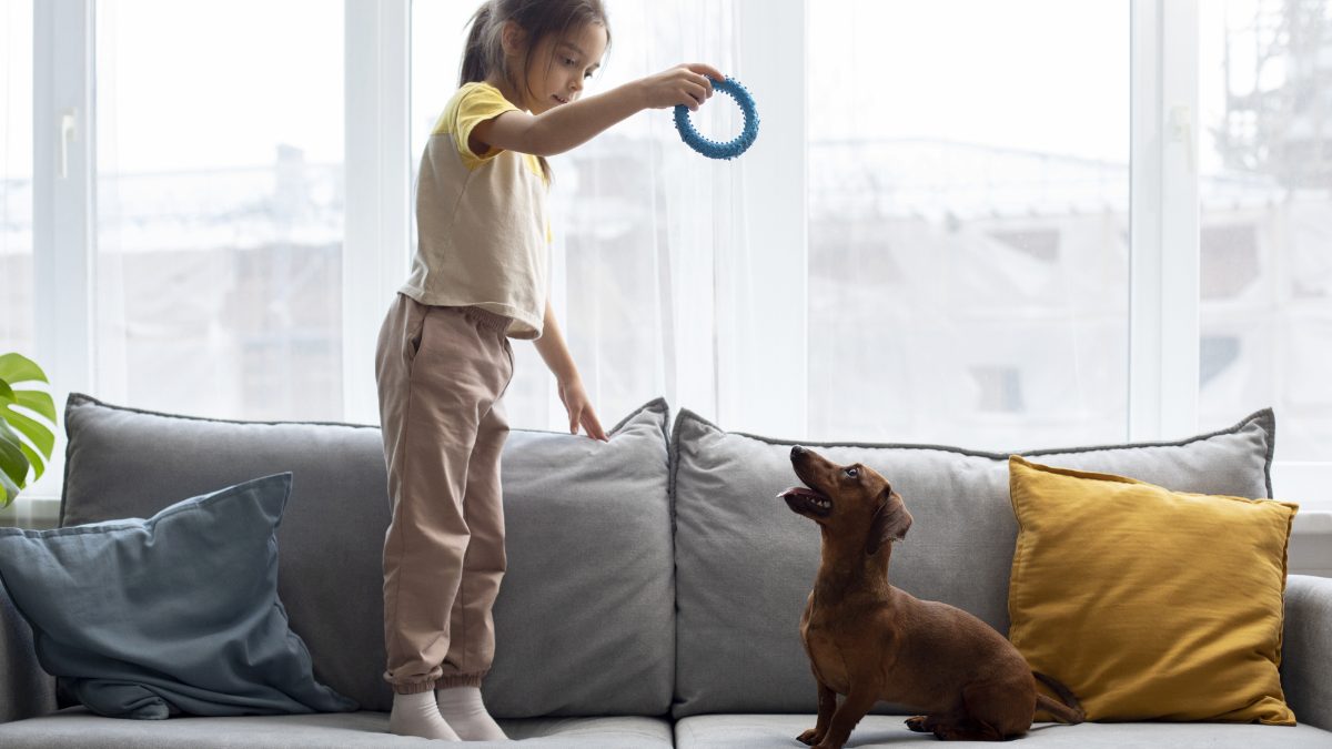 Anjing Untuk Anak