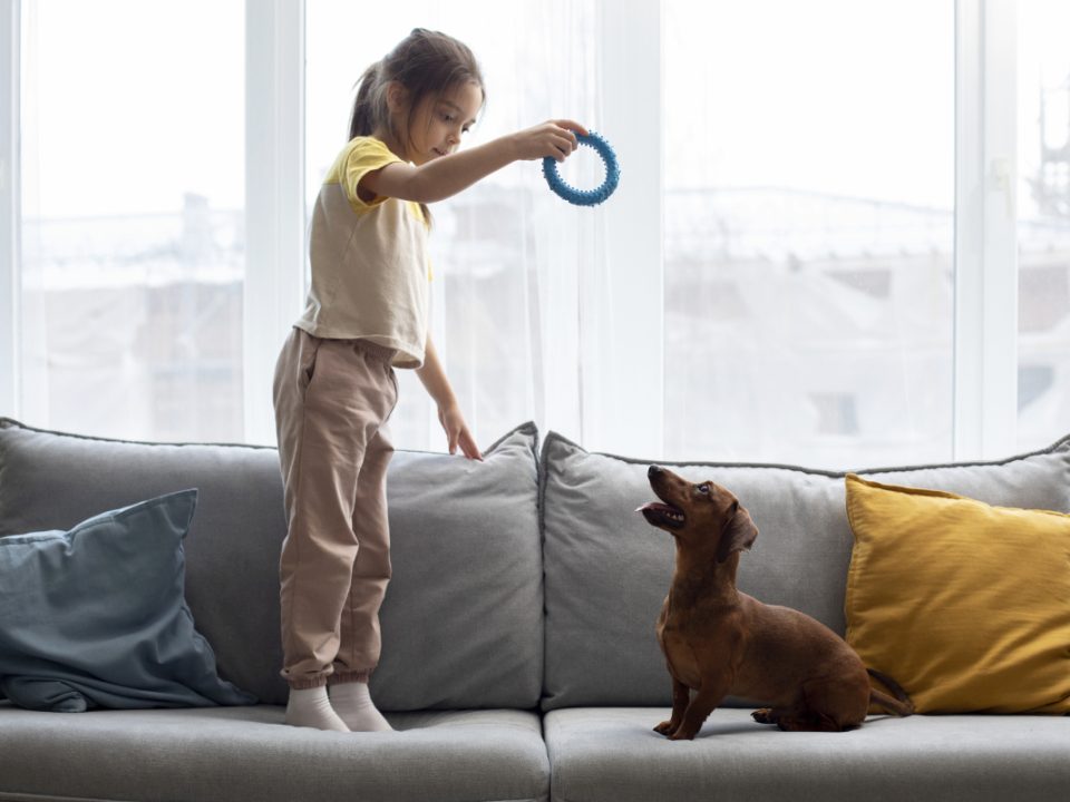 Anjing Untuk Anak