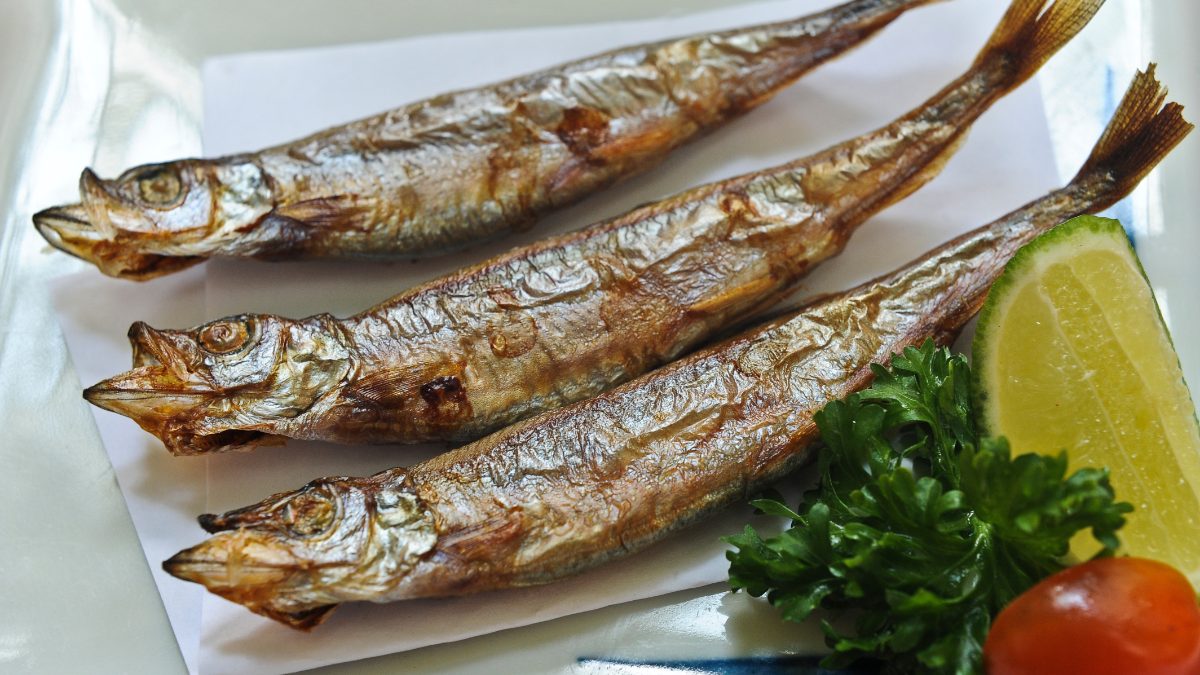 Manfaat Ikan Shisamo