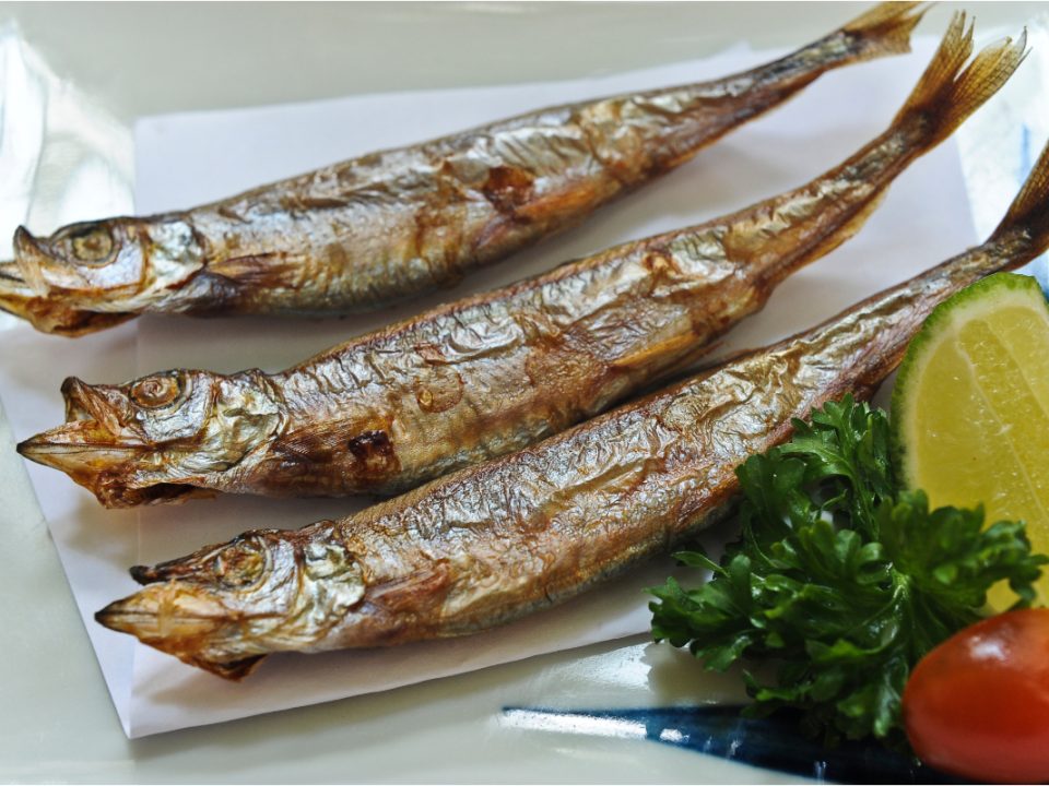 Manfaat Ikan Shisamo