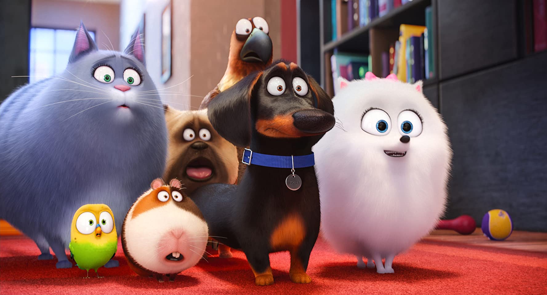 Secret life of pets
