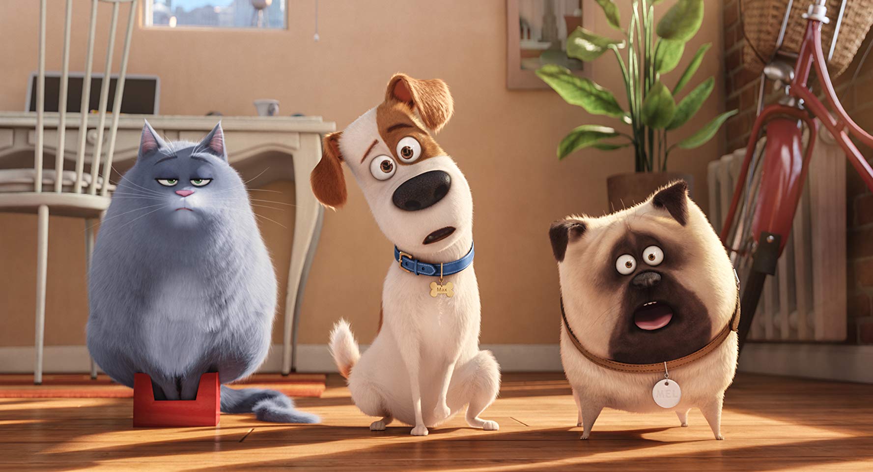 Secret life of pets