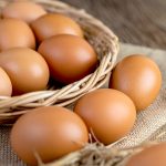 Telur makanan saat trimester pertama