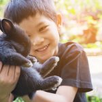 Rasa sayang anak pada hewan