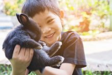 Rasa sayang anak pada hewan