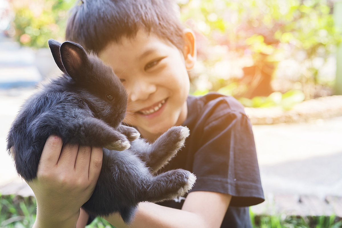 Rasa sayang anak pada hewan