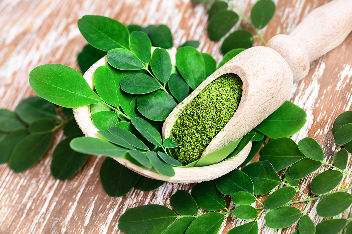 Manfaat daun kelor