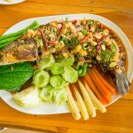 manfaat ikan gabus