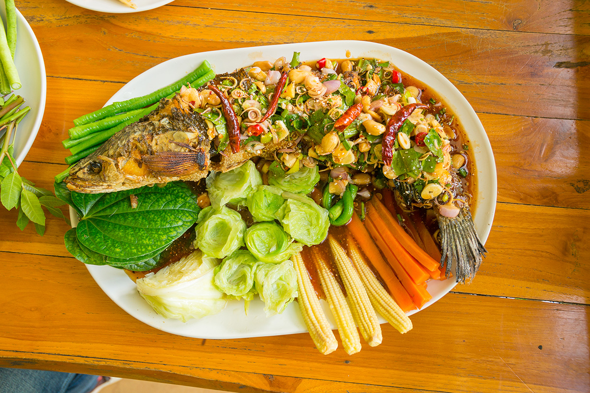 manfaat ikan gabus