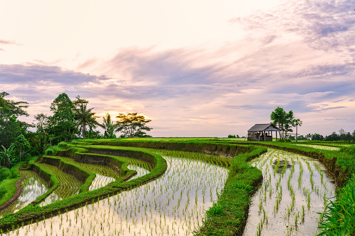 subak