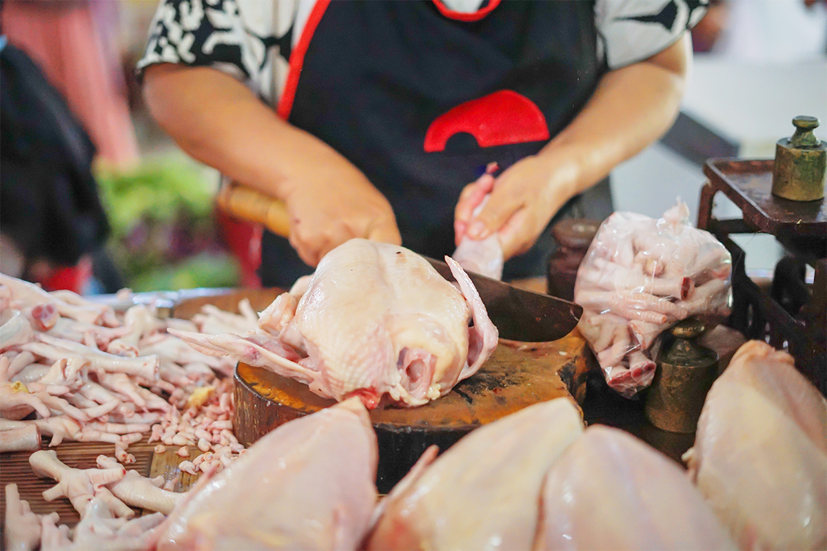 ayam segar