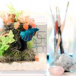 ikan cupang