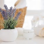 Lavender mengusir lalat
