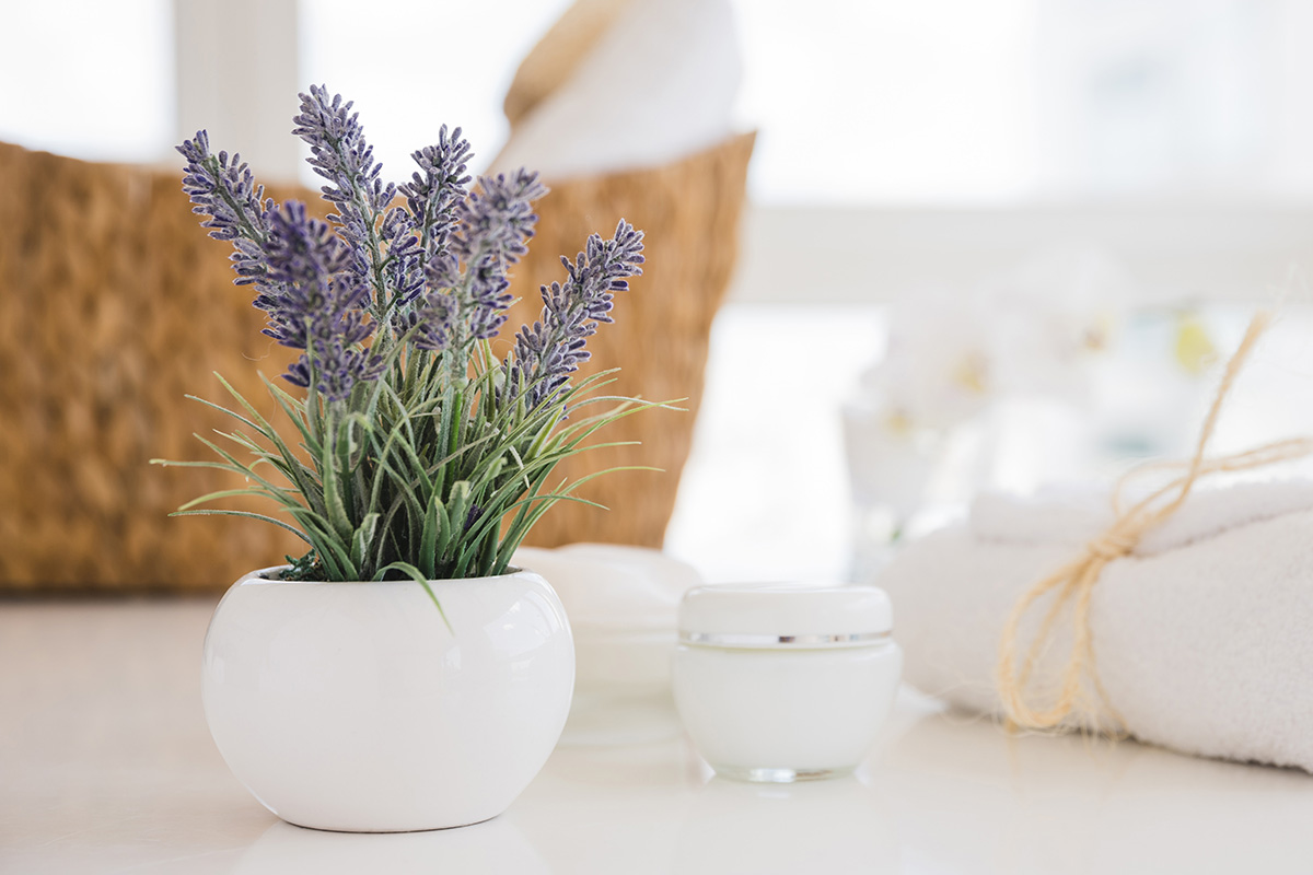 Lavender mengusir lalat