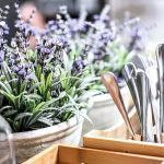 Lavender - Cara mengusir lalat