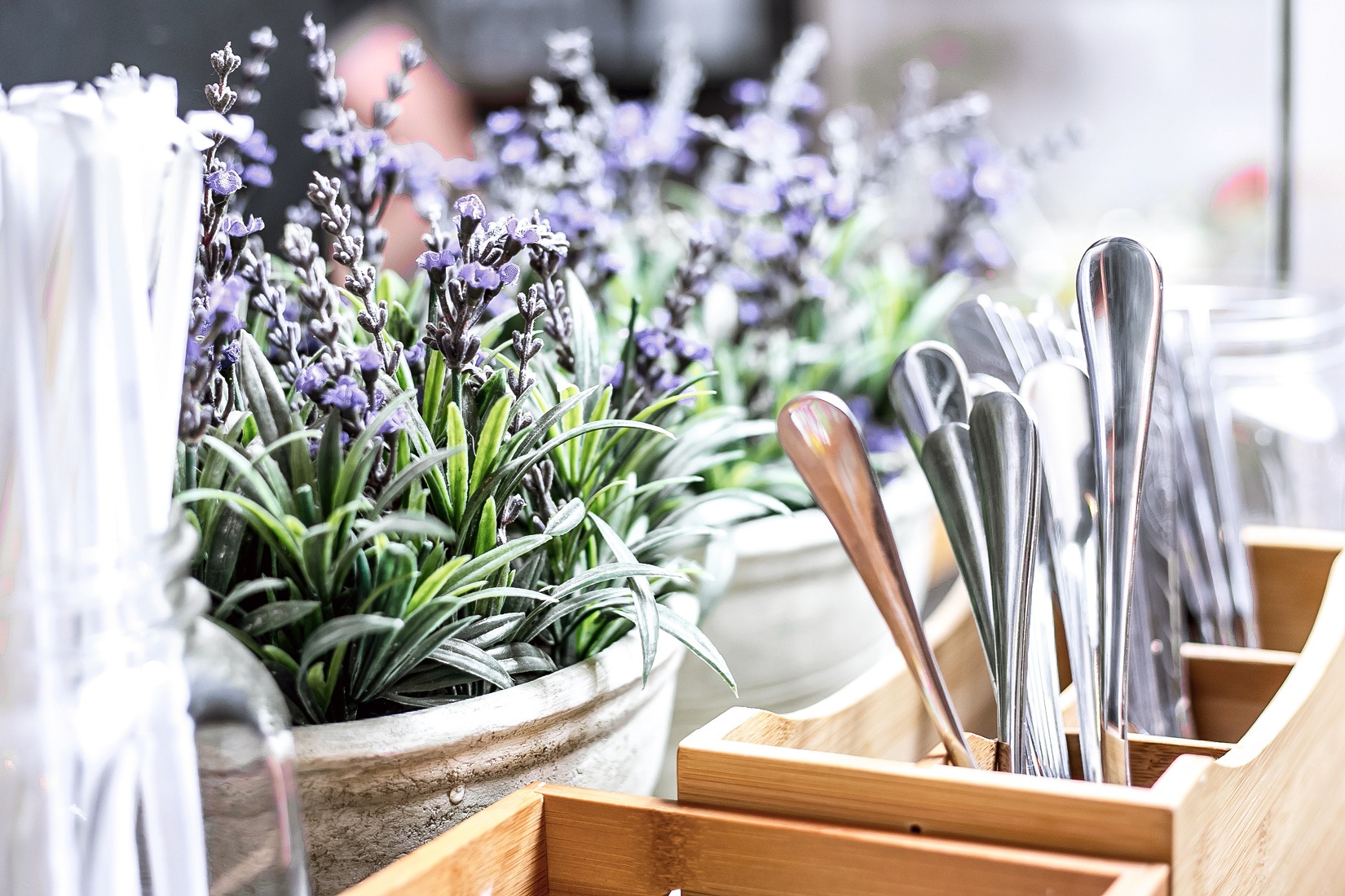 Lavender - Cara mengusir lalat