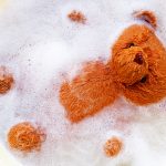 cara mencuci boneka