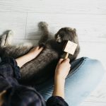 cara membasmi kutu kucing