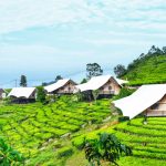 Liburan Akhir Tahun