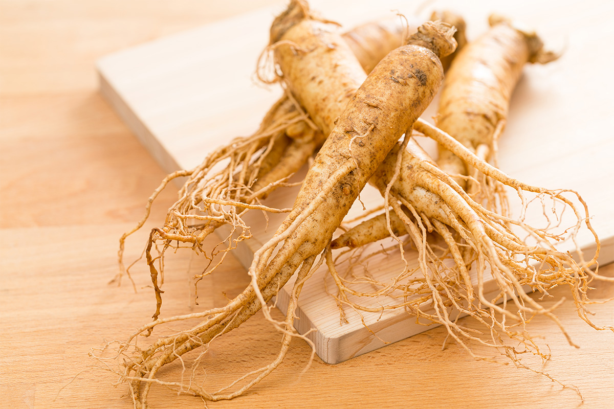 Manfaat Ginseng