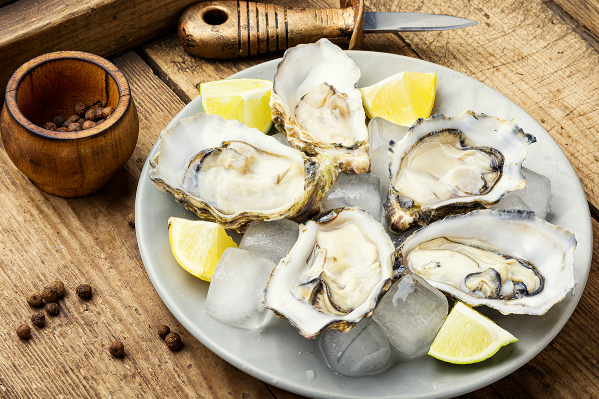kerang tiram segar