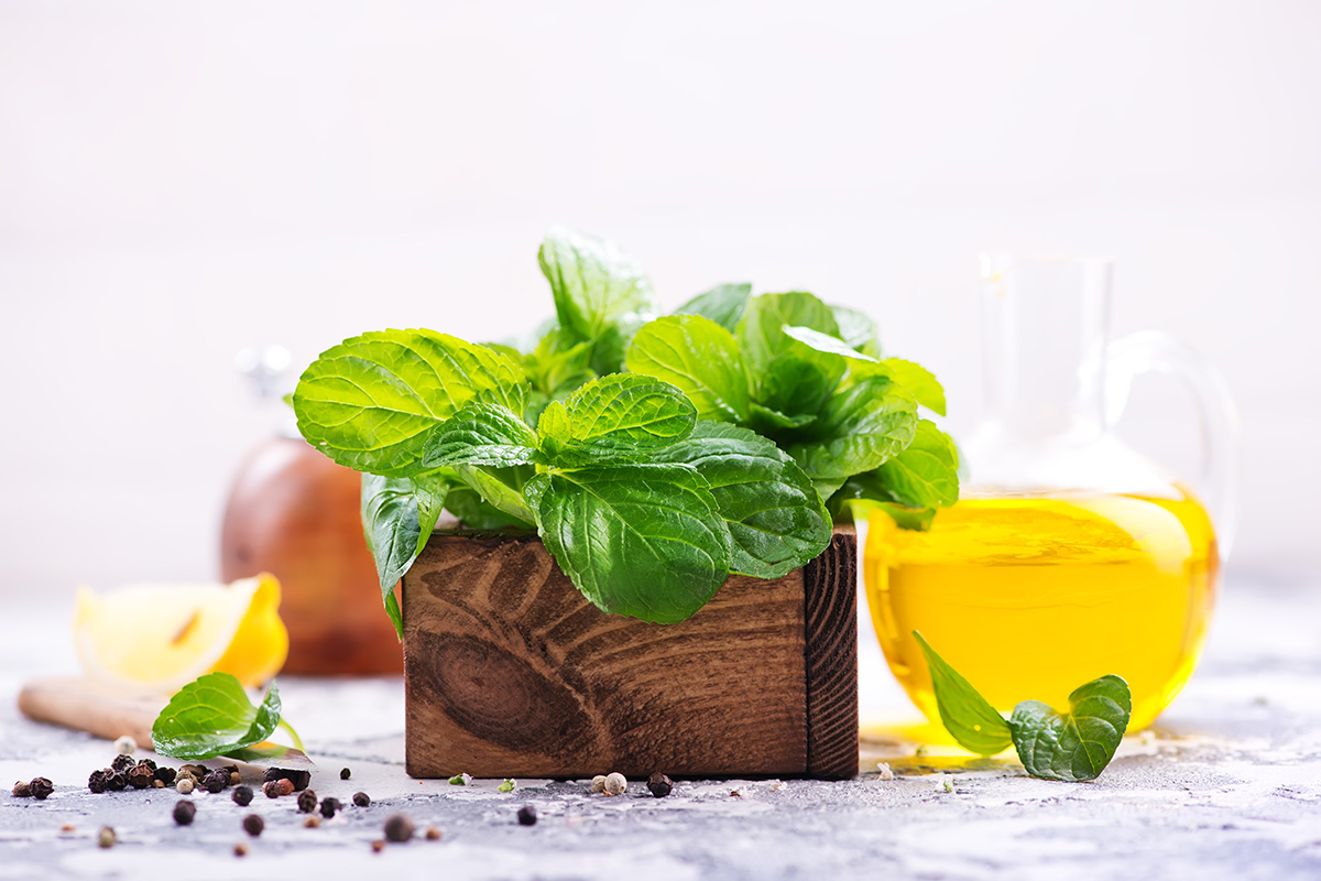 Manfaat Daun Mint