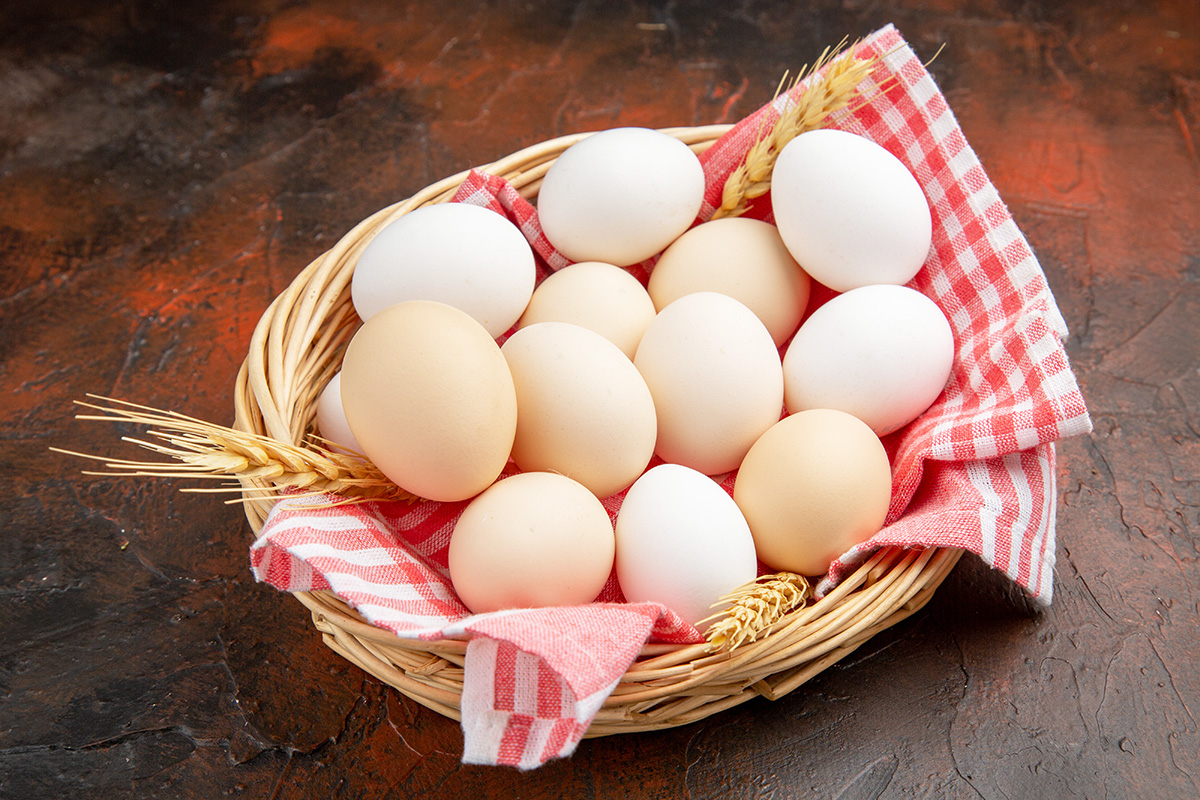 Telur untuk Kesehatan