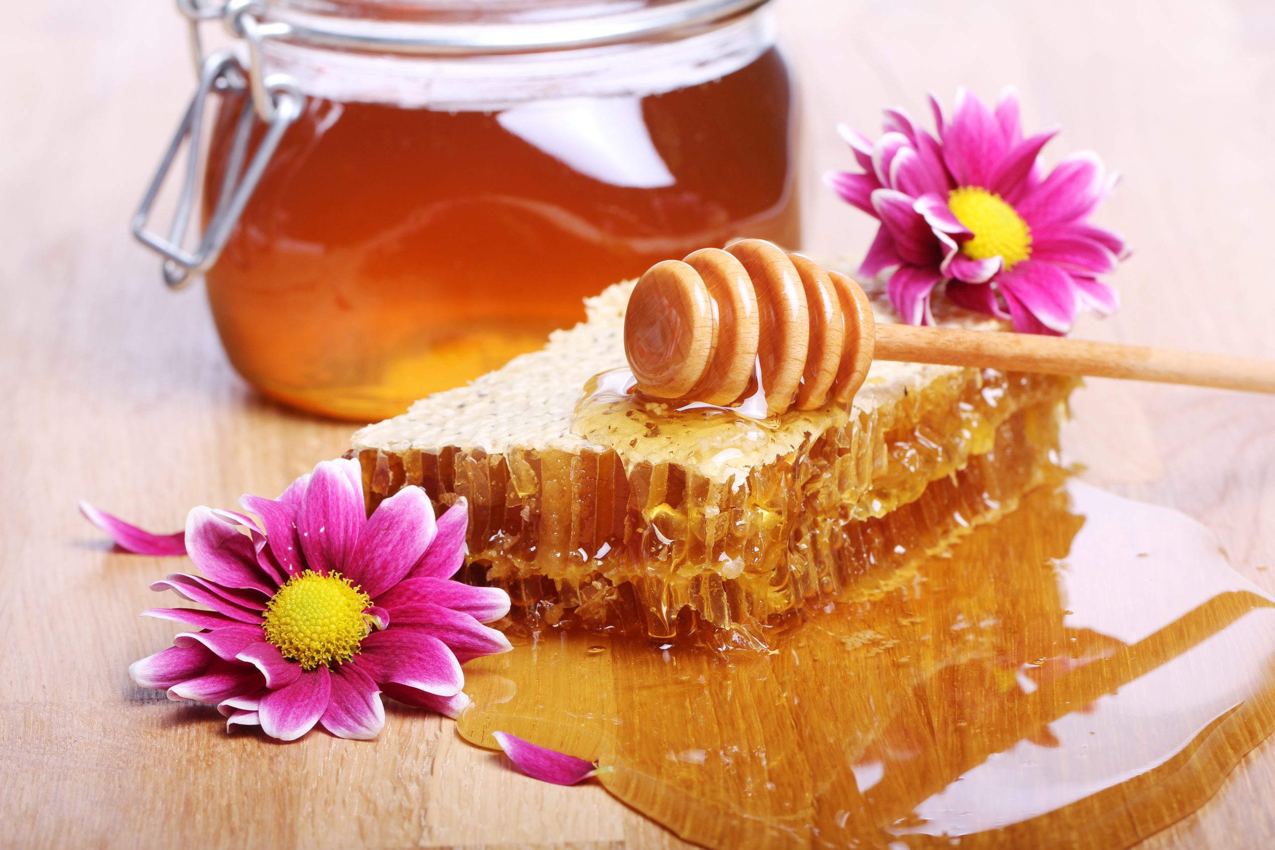 Manfaat Propolis