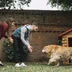 Anjing Penjaga Rumah