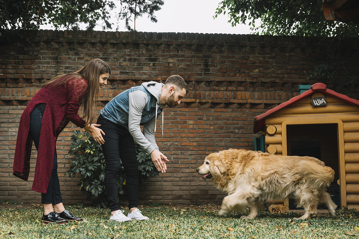 Anjing Penjaga Rumah