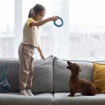 Anjing Untuk Anak