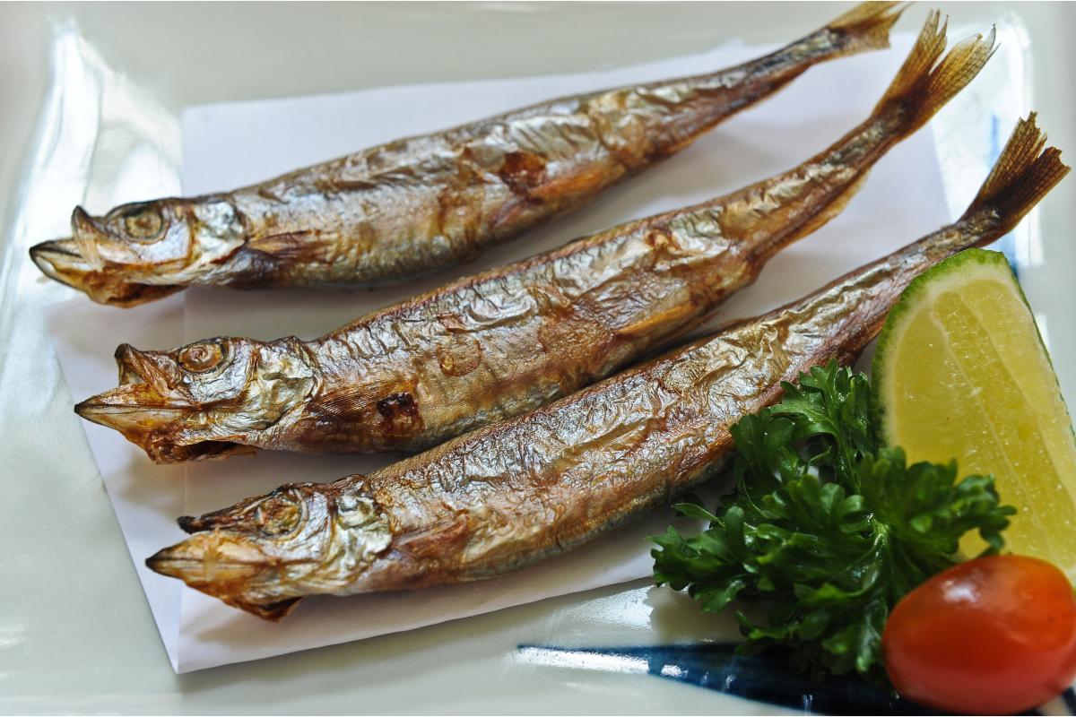 Manfaat Ikan Shisamo